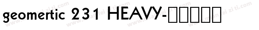 geomertic 231 HEAVY字体转换
